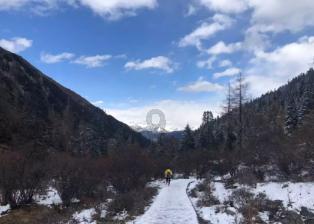 打爆步行者绿军为联盟树典型,两策略限制哈利,塔图姆38+14+6