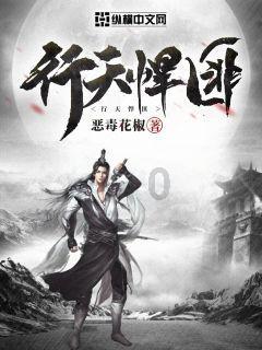 真三国无双8